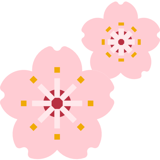 Cherry blossom illustration