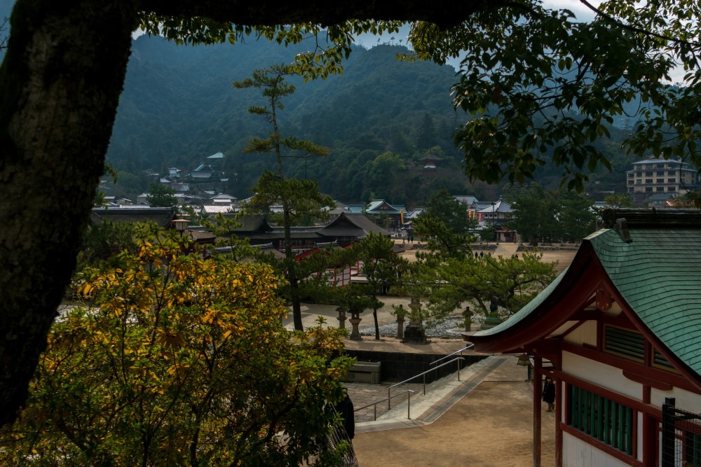 a park in Hiroshima showing modern and old buildings