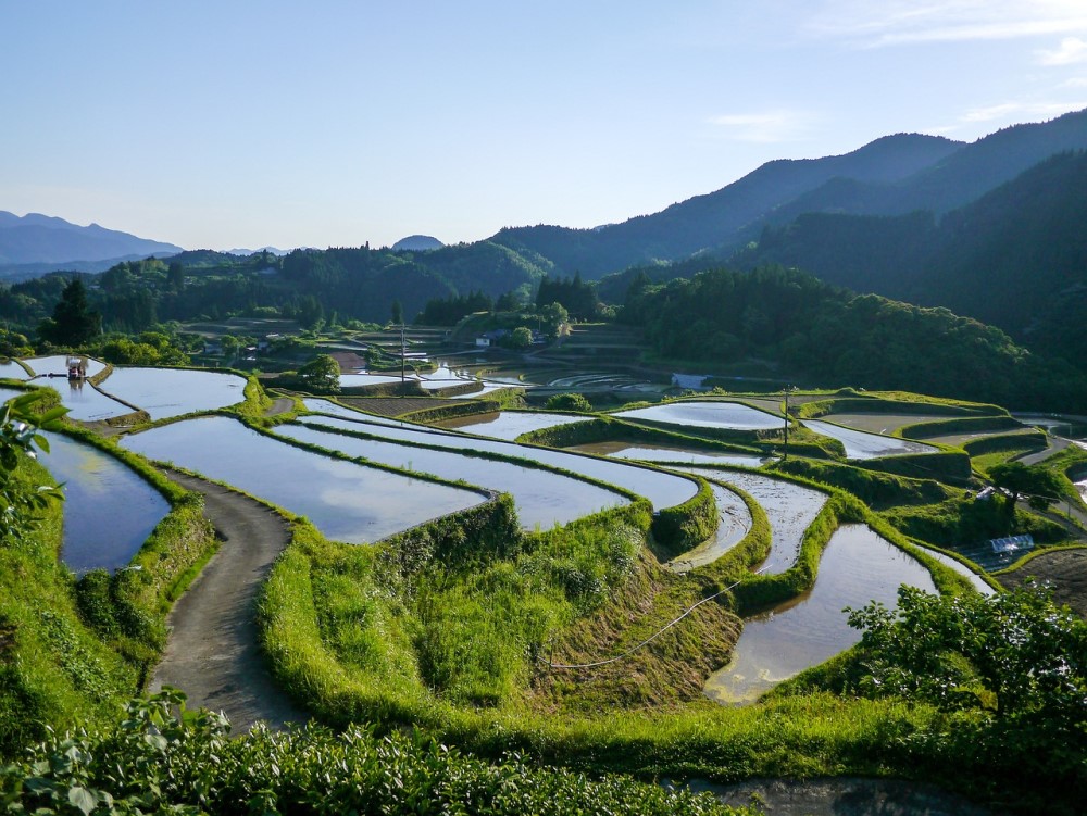 japanese-rice-terraces-on-a-hillside